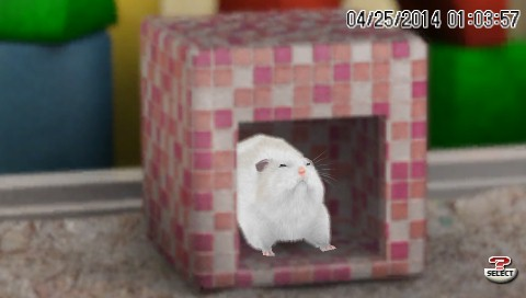 Petz: Hamsterz Bunch screenshot 3 for PSP